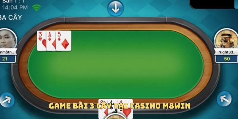 CASINO M8WIN 2 Bài 3 Cây được yêu thích nhất hiện nay